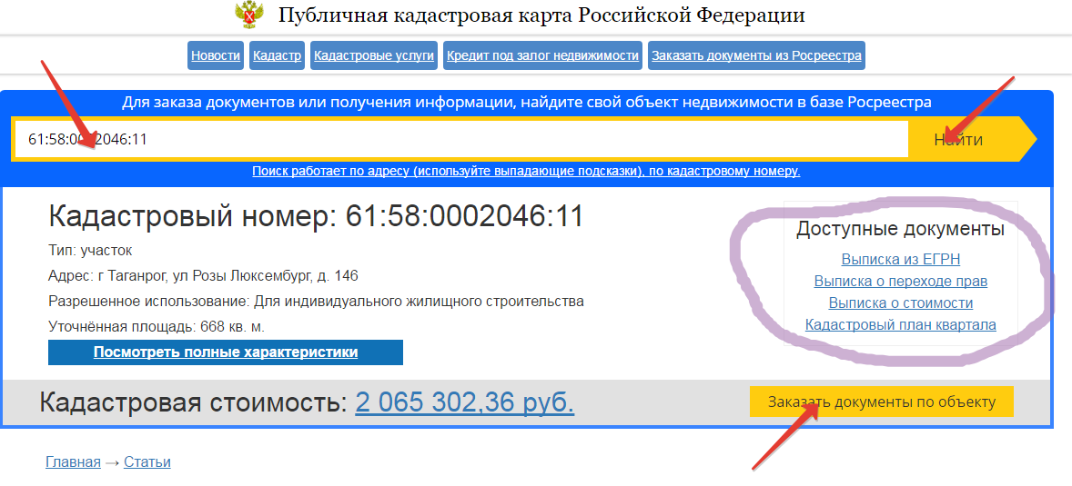 📄 Содержание выписки